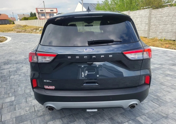 Ford Kuga cena 96900 przebieg: 58000, rok produkcji 2022 z Tarnów małe 742